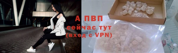 крисы Гусиноозёрск