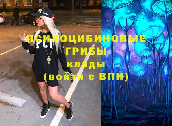 крисы Гусиноозёрск