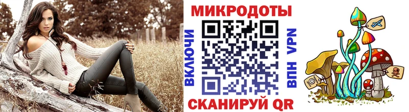 Галлюциногенные грибы мицелий  Евпатория 