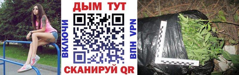 закладки  Евпатория  Шишки марихуана план 